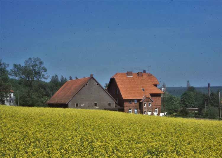 house and rape field